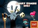 Angry Zombie Hunters