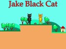 Black Cat Dash