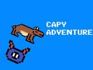 Capybara Dash