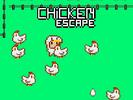 Chicken Chase