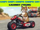 Chipi Cat Highway