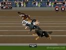 Crazy Dog Racing