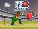 Cricket Blitz