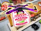 Drone Pizza Delivery