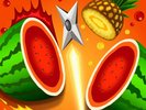 Fruit Ninja Master