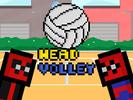 Head Ball Volley