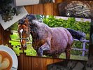 Horse Jigsaw Puzzles