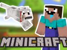 MiniCraft Duo