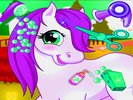 Pony Pet Salon