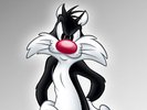 Sylvester's Chase